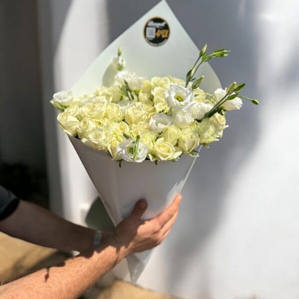 ⁦אלגנטיות בלבן⁩ – תמונה ⁦2⁩