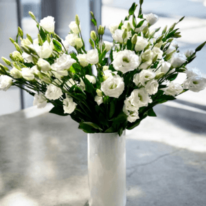 מגוון זרים ב 150₪