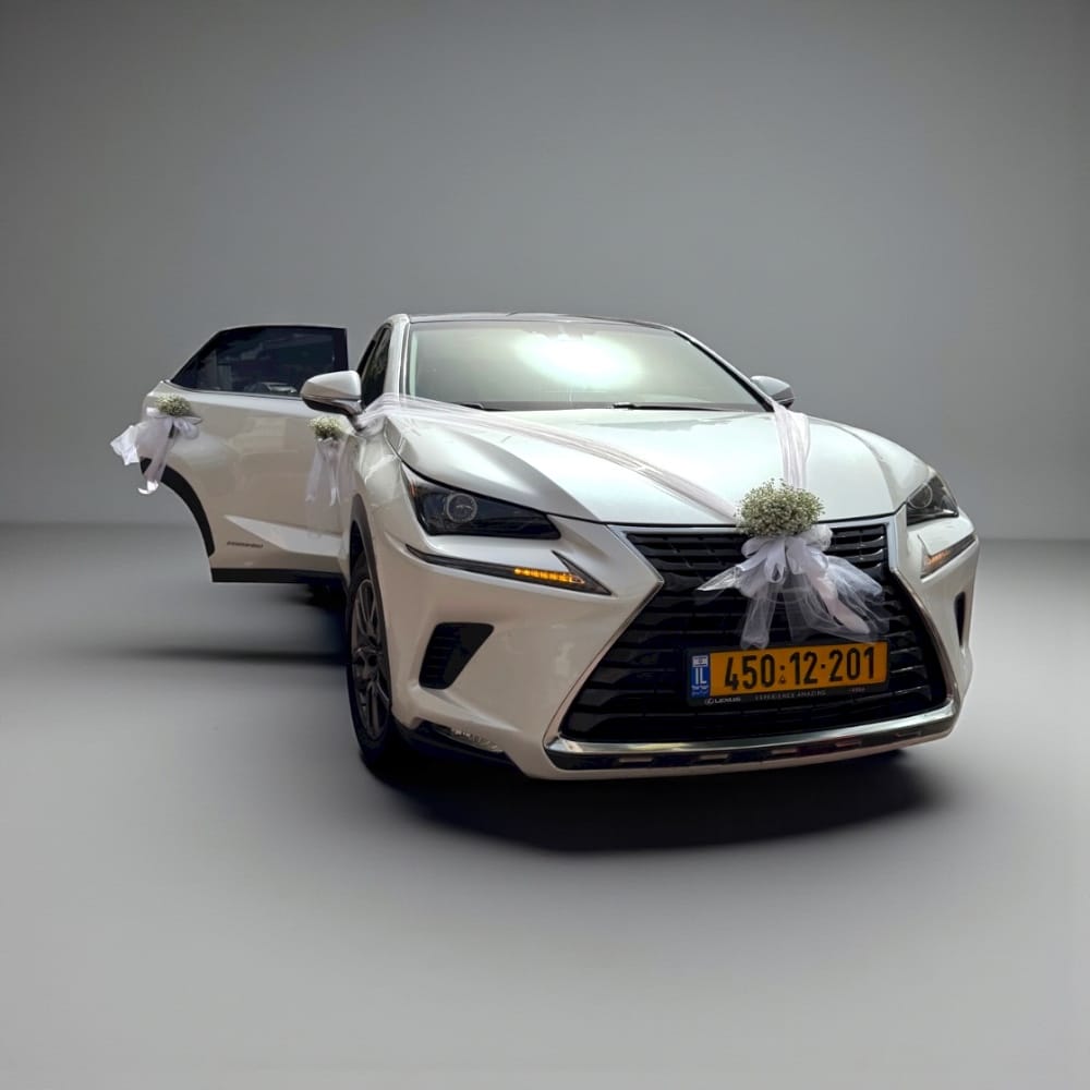 Photoroom_20251104_115557