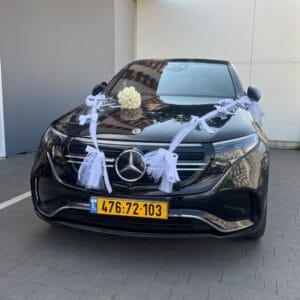 קישוט רכב פפיון