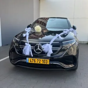 קישוט רכב פפיון