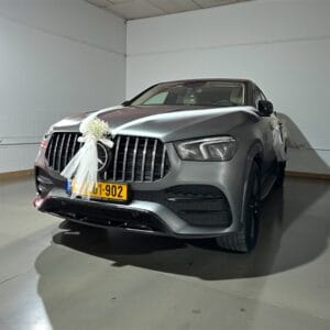 קישוט מרצדס GLE